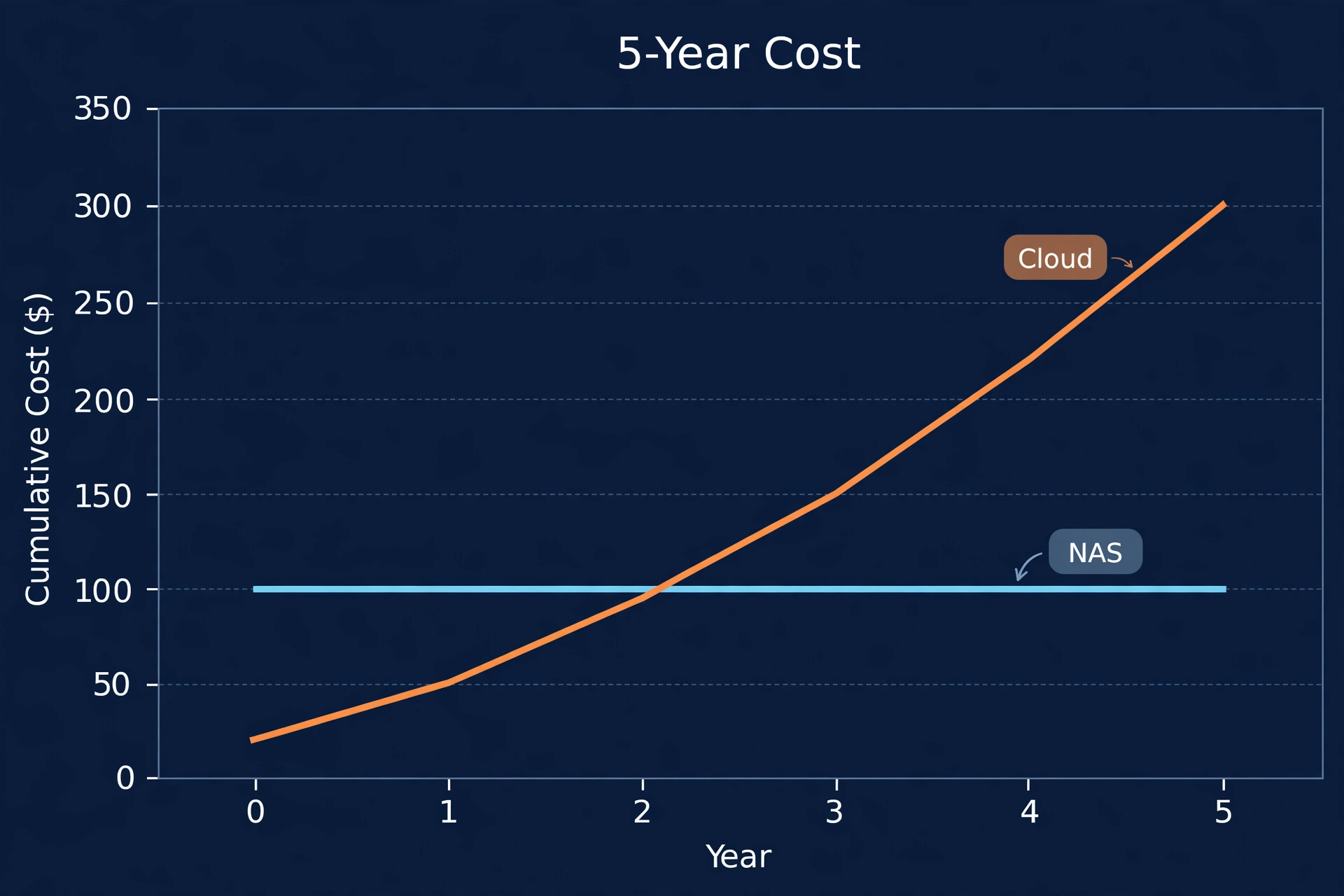 Five-year cost chart with a flat NAS line crossing a rising cloud subscription line around year two